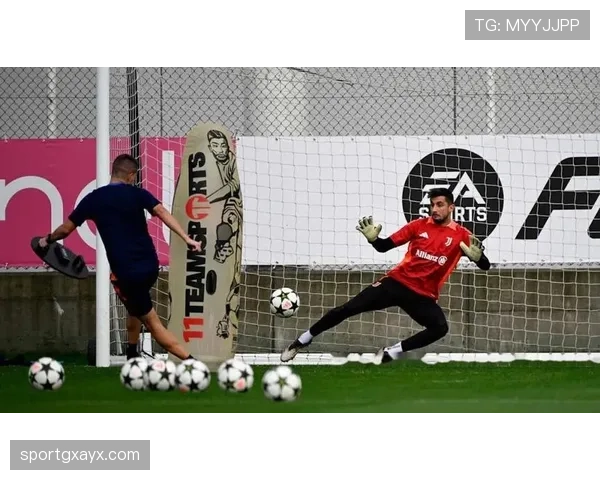 斯图加特签约新星，阵容实力升级蓄势迎接新赛季