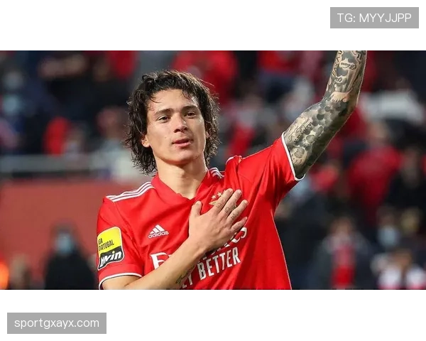 本菲卡法甲赛季表现稳健，斩获多项荣誉