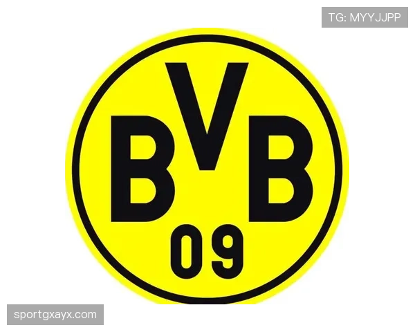 普鲁士公园保持德甲主场不败纪录，球队实力显著提升