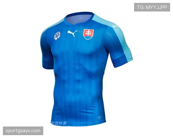 斯洛伐克队蓝白球衣亮相，延续传统配色设计
