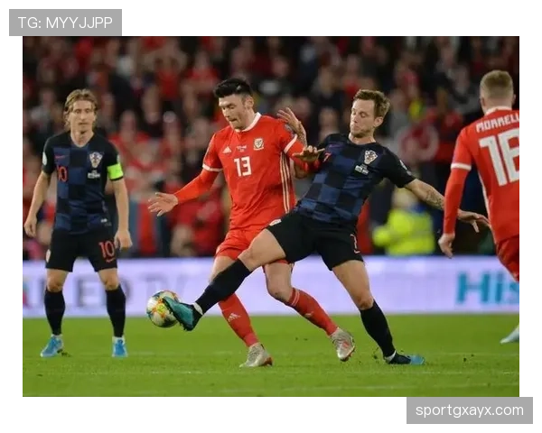 欧国联比利时表现