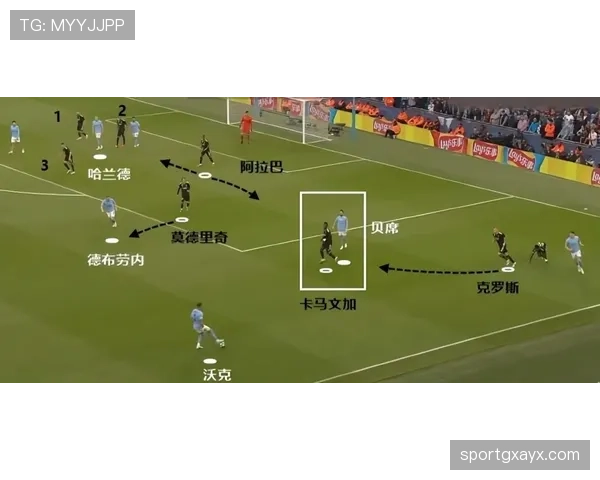 帕利尼亚作为防线前屏障的战术价值解析