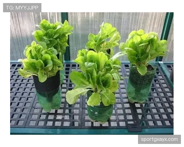 贝林厄姆家冰箱里塞满蛋白粉，连瓶可乐都找不到